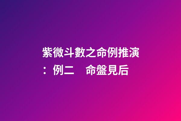 紫微斗數之命例推演：例二　命盤見后